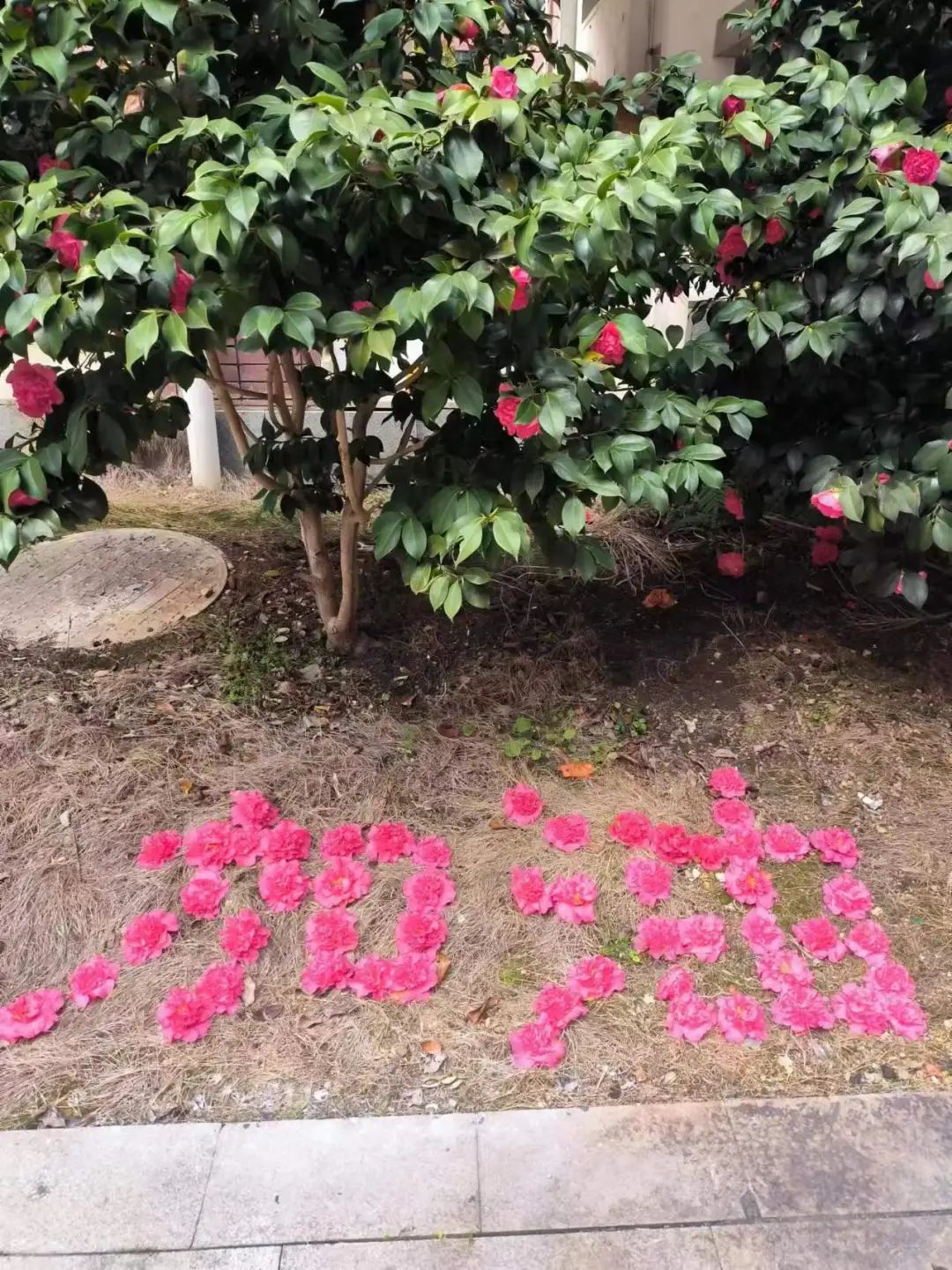 图片 图片